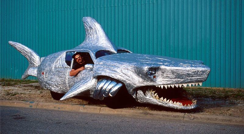 shark in a car